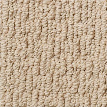 Anderson Tuftex Powerful Art Carpet in Baked Beige, , large