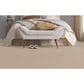 Masland Infinite Carpet in Grain, , large