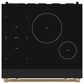 Thor Kitchen Gordon Ramsay 4.8 Cu. Ft. Professional Induction Range with Bronze Handle Kit in Black, , large