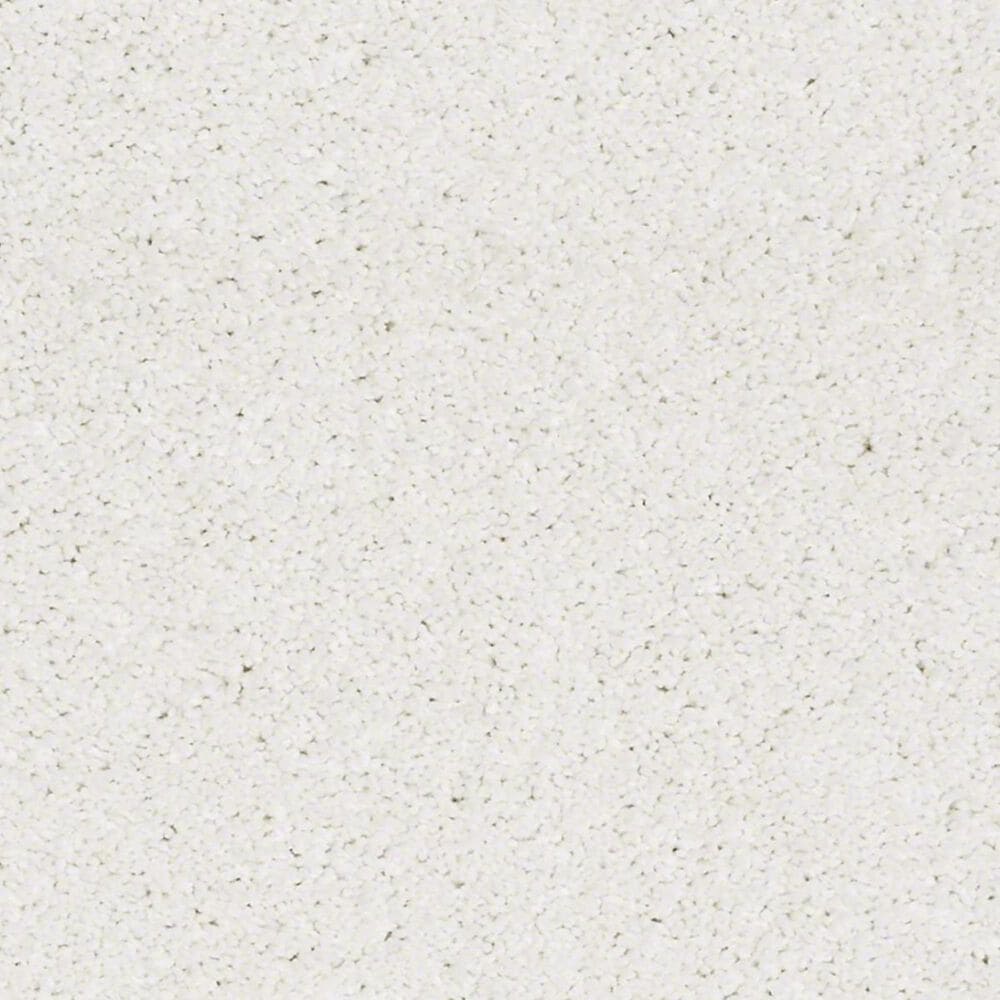Anderson Tuftex Barracan Classic III Carpet in Crisp, , large