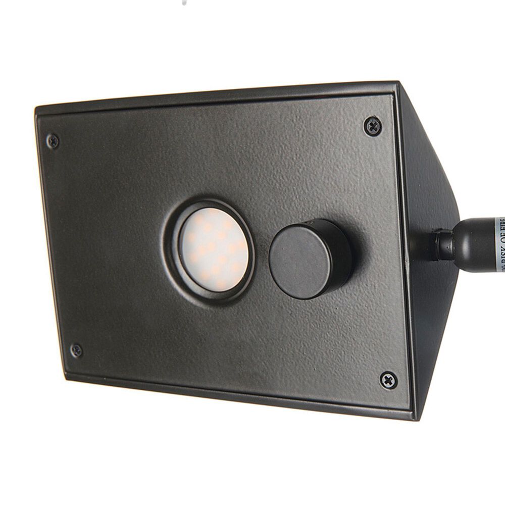 Lite Source Pharma LED Floor Lamp in Dark Bronze, , large