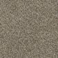 Phenix Bari Carpet in Amphitheatre, , large