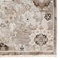 Dalyn Rug Company Antalya AY5 3"3" x 5"3" Silver Area Rug, , large