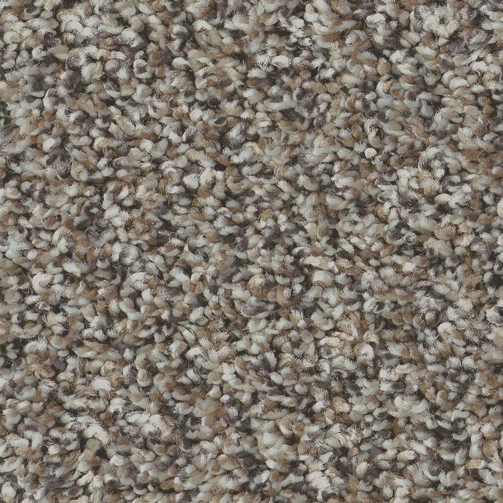 Shaw Bold Move Plus Carpet in Country Pebble, , large