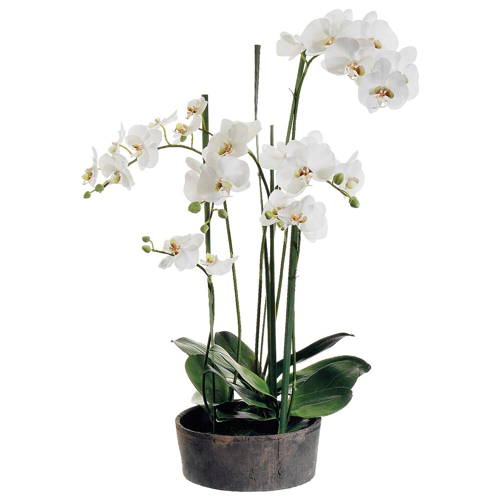 Allstate Floral and Craft Inc 37" Phalaenopsis Plant in Cream, , large