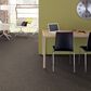 Philadelphia Mixed Essentials Carpet in Raven, , large