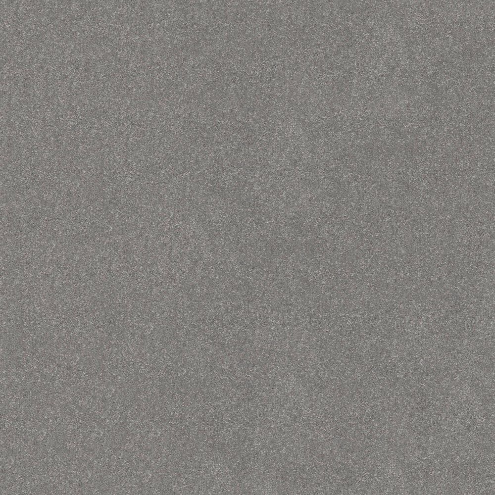 Shaw Hard At Play II Carpet in Vintage, , large