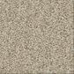 Shaw Comforting II Carpet in Chamois, , large