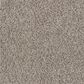 Shaw See Me Carpet in Sand Swept, , large