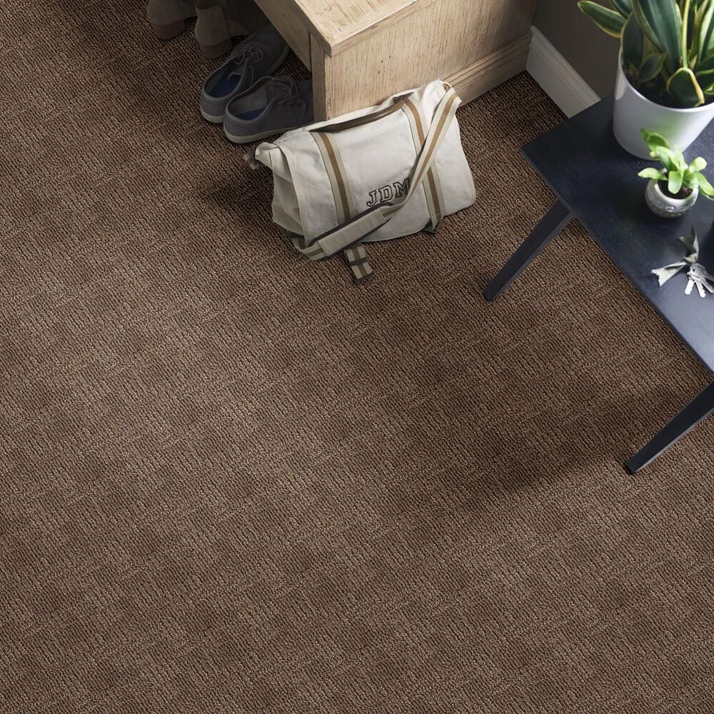 Anderson Tuftex Loredo Carpet in Fallen Timber, , large