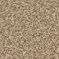 Anderson Tuftex Somerset Carpet in Filtered Moon, , large
