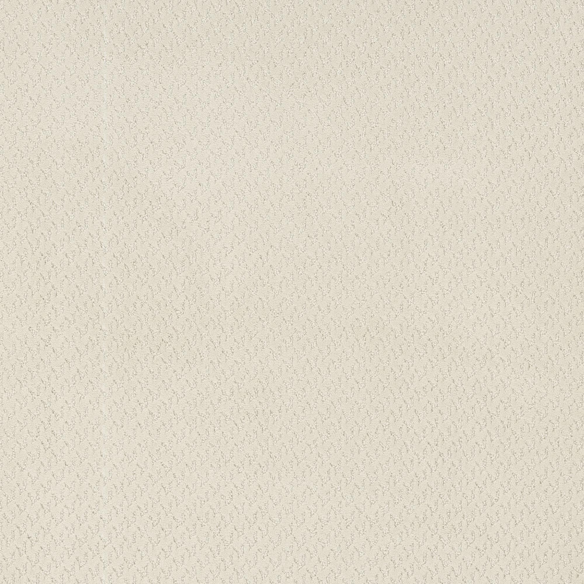 Anderson Tuftex Aperture Carpet in Ski Slope