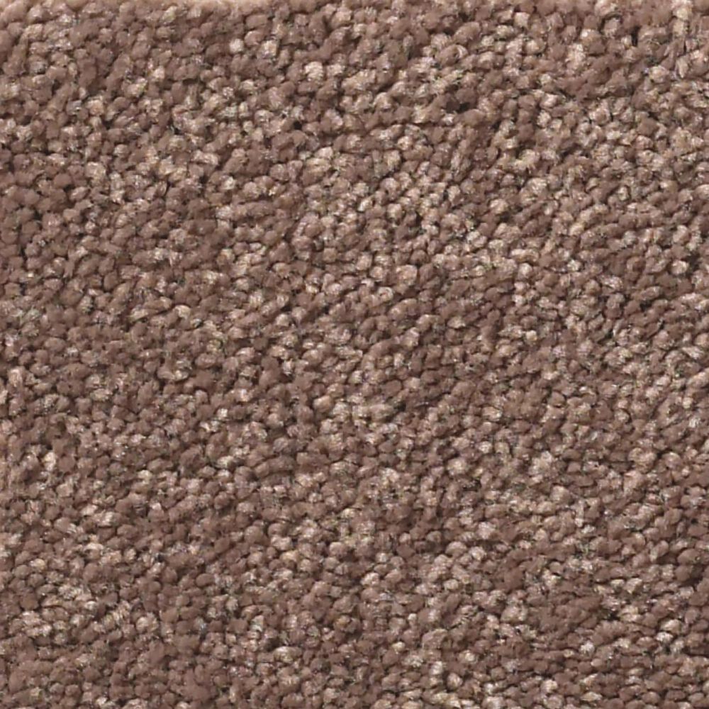 Shaw Simply the Best Momentum I Carpet in Farmhouse, , large