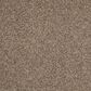 Mohawk Dynamic Quality I Carpet in Filigree, , large