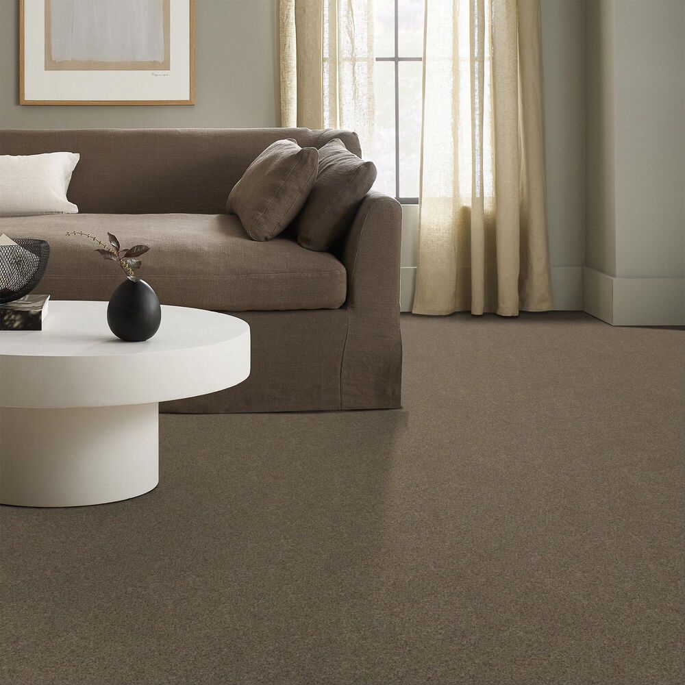 Anderson Tuftex West Peak Carpet in Morning Blend, , large
