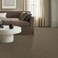 Anderson Tuftex West Peak Carpet in Morning Blend, , large