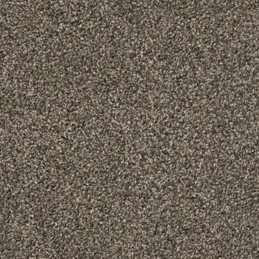 Dixie Home Main Force Carpet in Boulder, , large