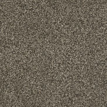 Dixie Home Main Force Carpet in Boulder, , large