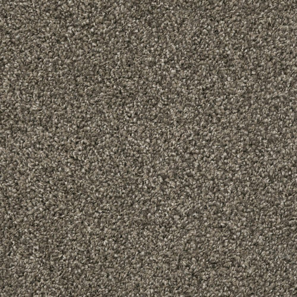 Dixie Home Main Force Carpet in Boulder, , large