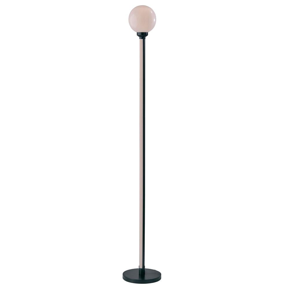 Adesso Astra RGB Color Changing Floor Lamp in Black and White, , large