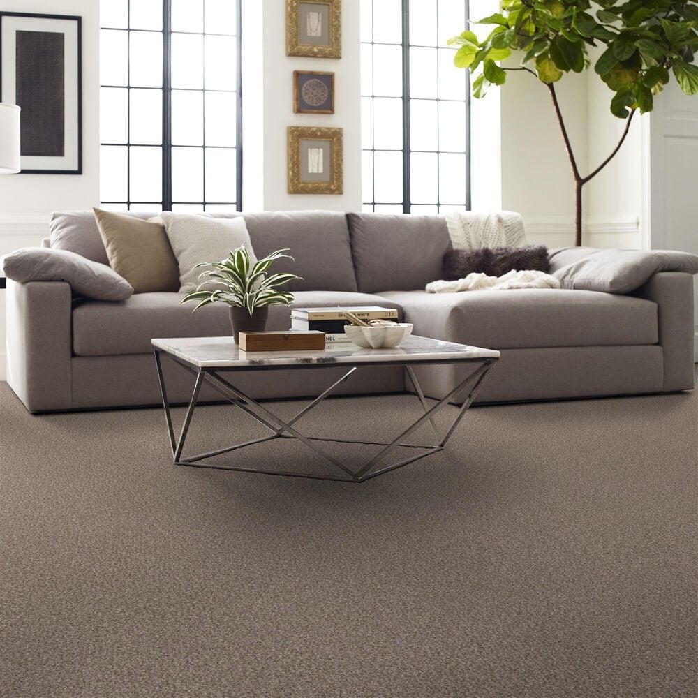 Shaw Yes You Can II Carpet in Glacier, , large