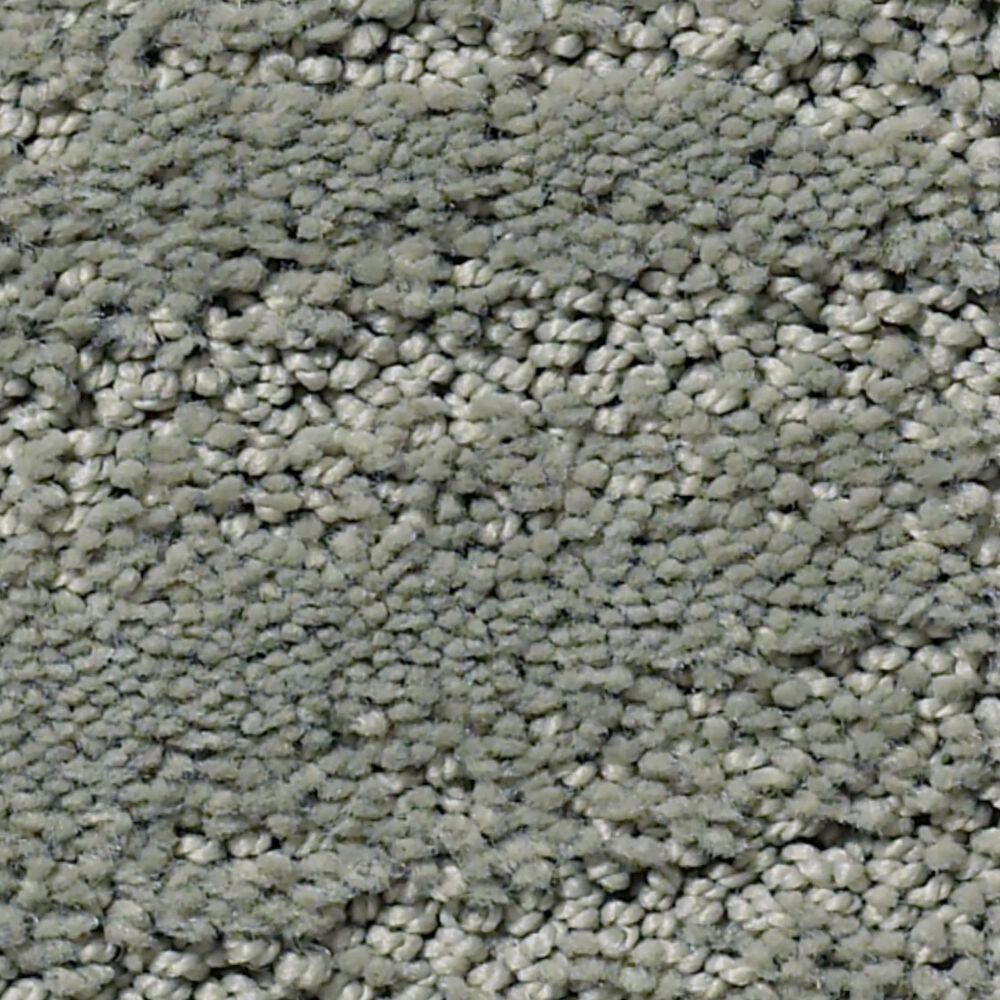 Anderson Tuftex Pose Carpet in Pine Forest, , large