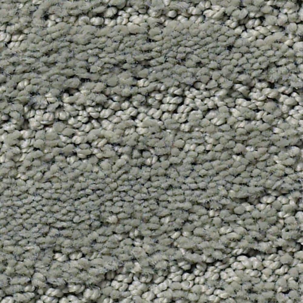 Anderson Tuftex Pose Carpet in Pine Forest, , large