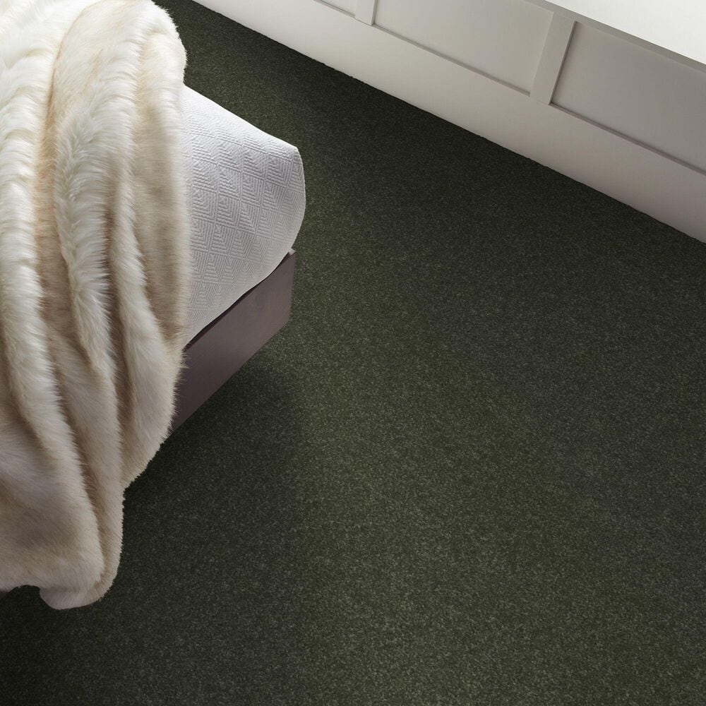 Shaw Hard At Play Iii Carpet in Rerooted Nature, , large