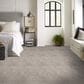 Anderson Tuftex Insightful Journey Carpet in Baltic Stone, , large