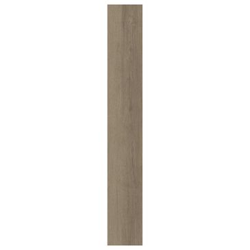 Shaw Infinite SPC Vista 7" x 48" Luxury Vinyl Plank, , large