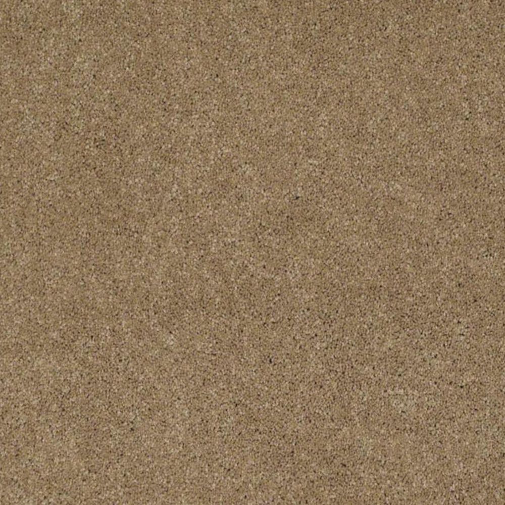 Anderson Tuftex Barracan Classic IV Carpet in Navajo, , large