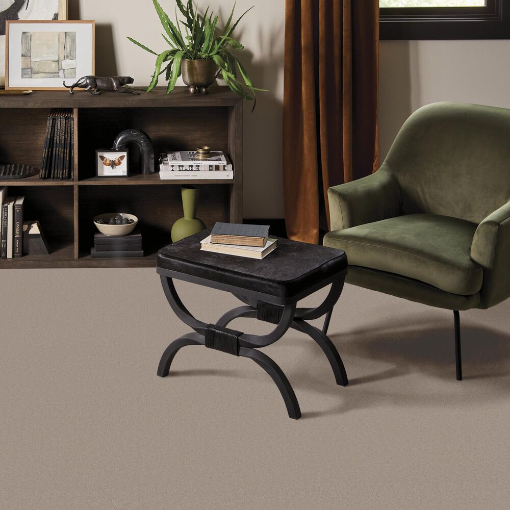 Anderson Tuftex Finery Carpet in Putty, , large