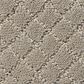 Anderson Tuftex Off Leash Carpet in Mocha Cream, , large