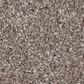 Shaw Agility Carpet in Owl, , large