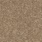 Shaw Easy Spirit II 12" Carpet in Stone House, , large