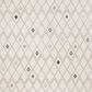 Safavieh Adirondack ADR132B-6 6" x 9" Ivory and Grey Area Rug, , large