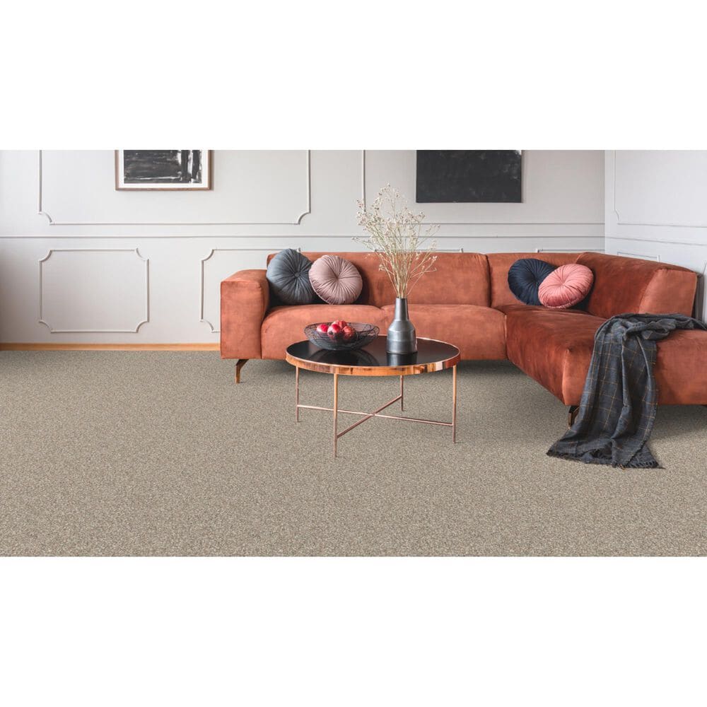 Dixie Home Bella Carpet in Canine, , large