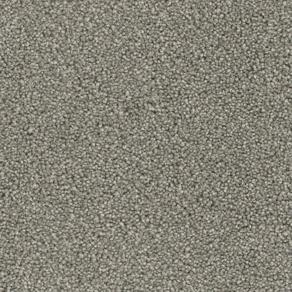 Phenix Paxton Carpet in Luxurious, , large