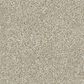 Dixie Home Outlast Carpet in Sandstone, , large