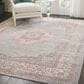 Nourison Passion PSN03 6"7" x 9"6" Grey Area Rug, , large