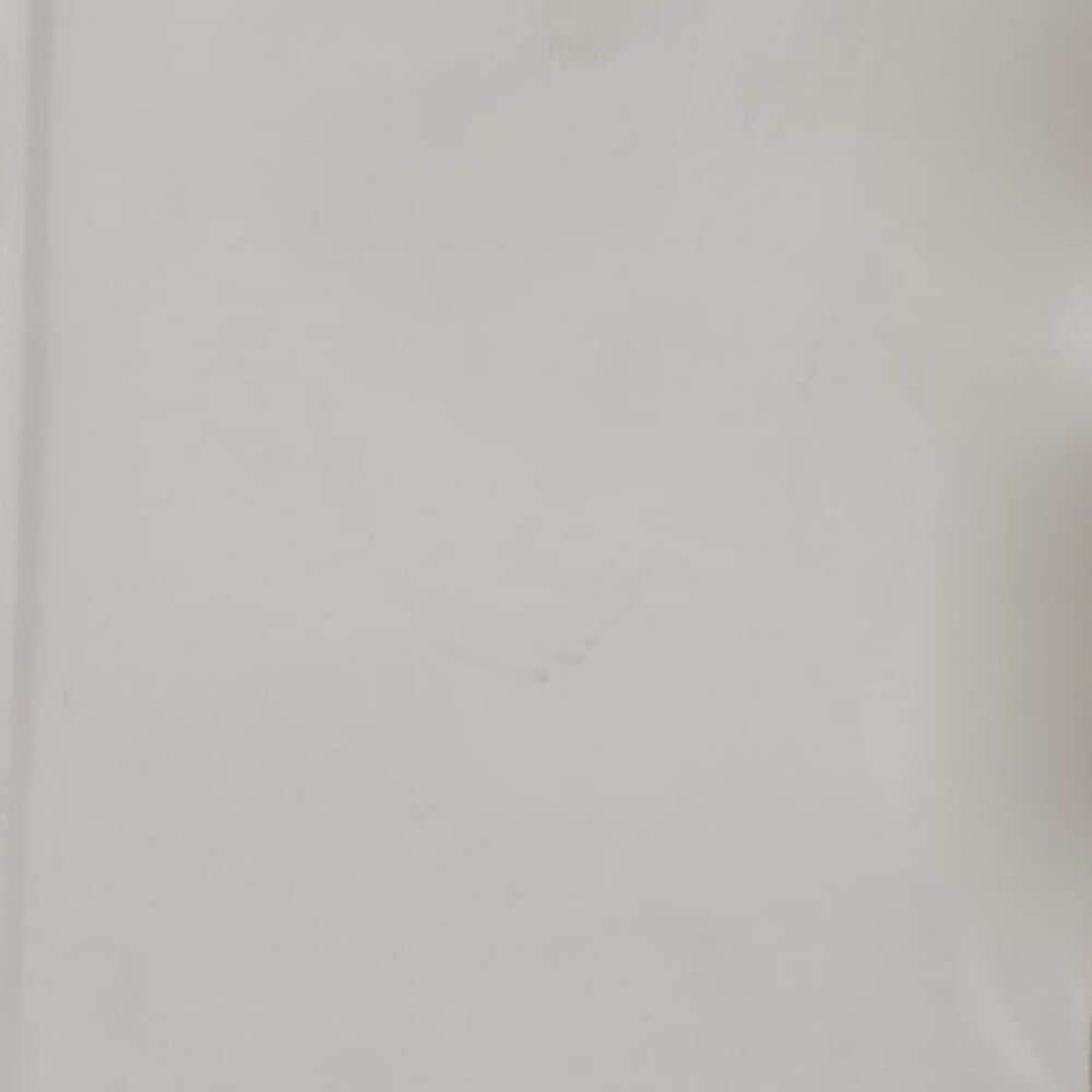 Maple and Jade Leopard Decorative Sculpture in Satin Silver, , large