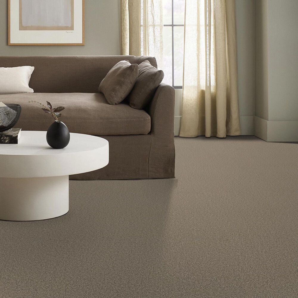 Anderson Tuftex Fabulous Carpet in Chic Taupe, , large