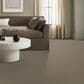 Anderson Tuftex Fabulous Carpet in Chic Taupe, , large
