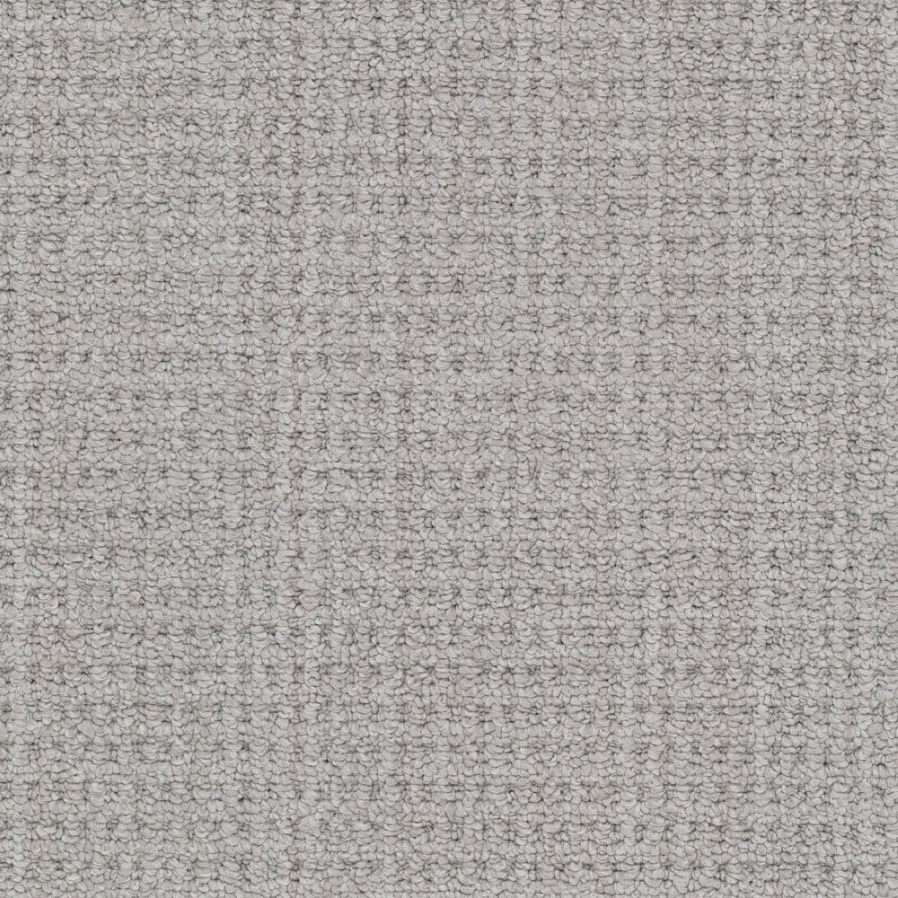 Masland Take It Easy Carpet in Homestead, , large