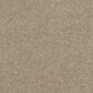Dream Weaver Hollywood Carpet in Warm Teak, , large