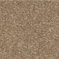 Shaw Easy Spirit III 12" Carpet in Stone House, , large