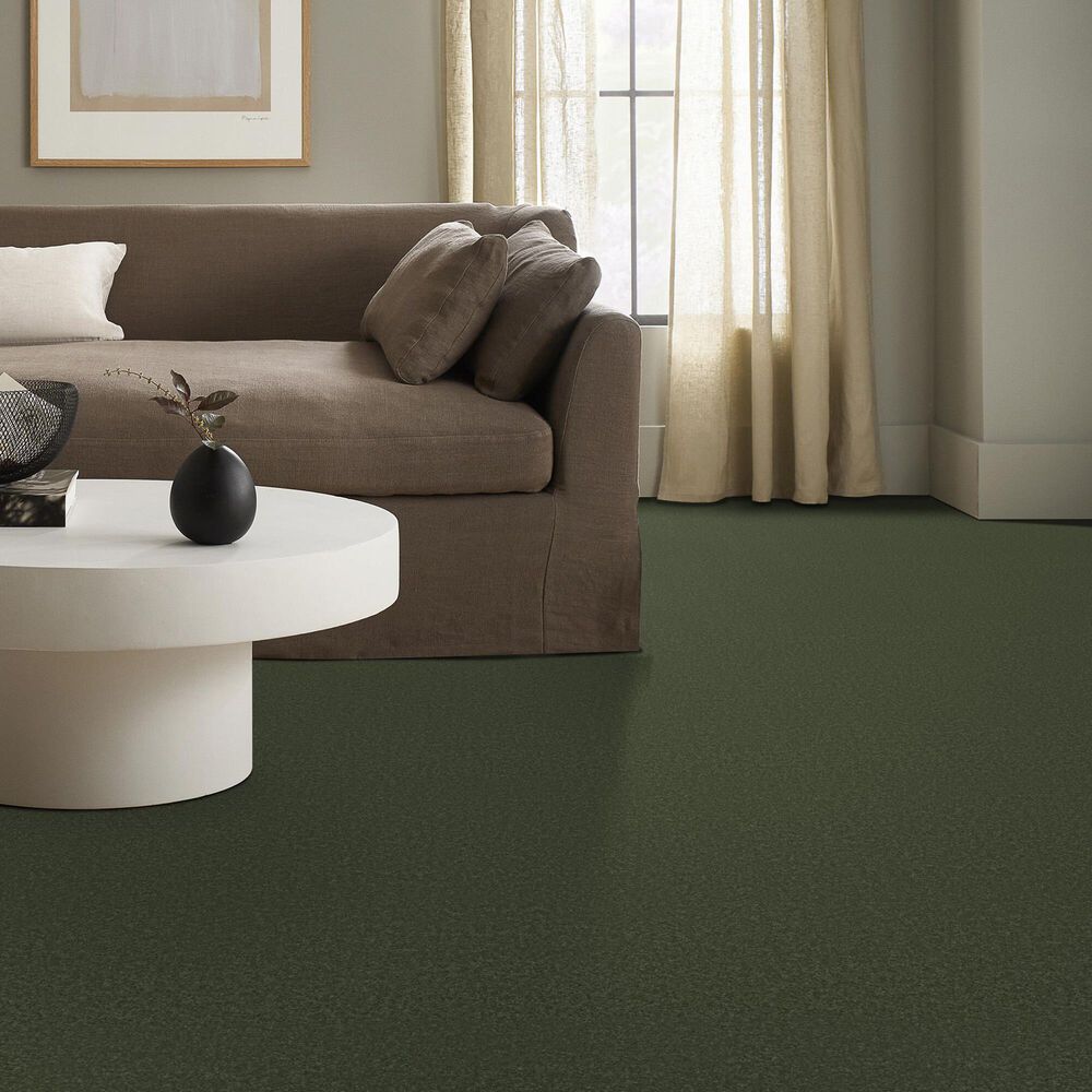 Anderson Tuftex Elegant Beauty Carpet in Bereyl, , large