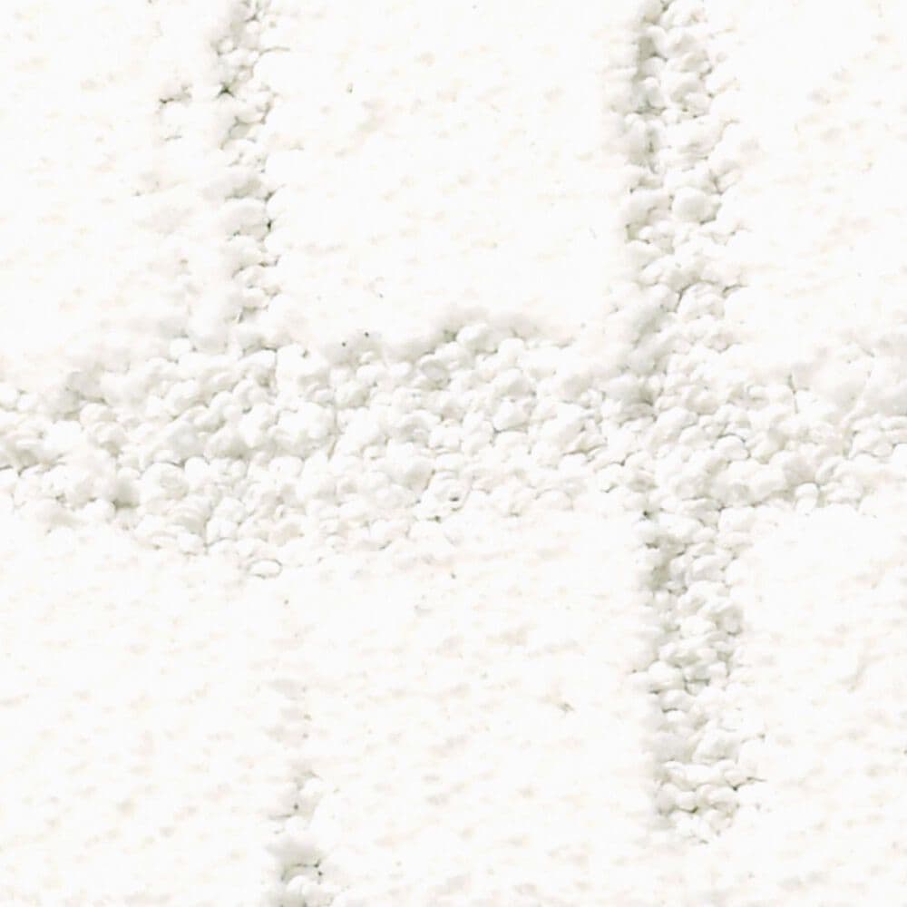 Anderson Tuftex Caress Rustique Vibe Carpet in Purity, , large