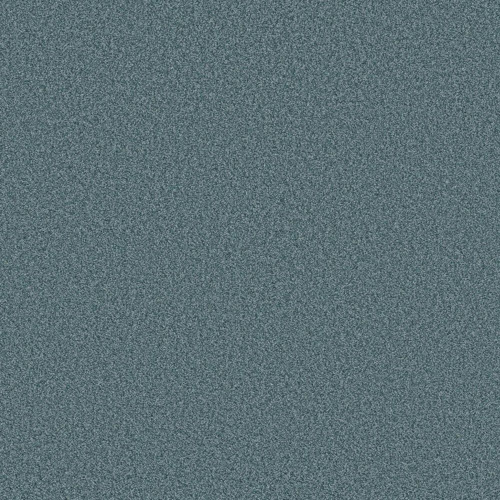 Shaw Tonal Comfort I Carpet in Life Of The Party, , large