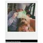 Polaroid Color i-Type Film in White, , large
